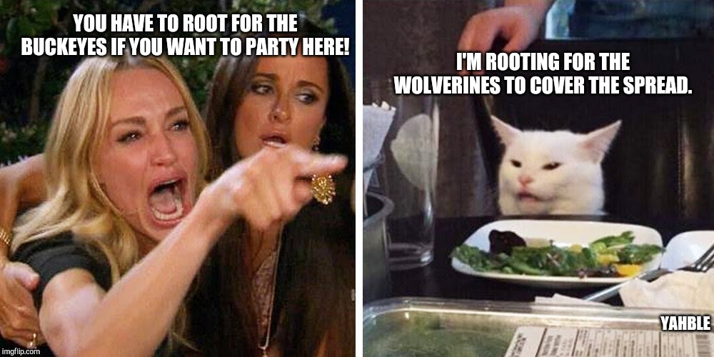 Smudge the cat | YOU HAVE TO ROOT FOR THE BUCKEYES IF YOU WANT TO PARTY HERE! I'M ROOTING FOR THE WOLVERINES TO COVER THE SPREAD. YAHBLE | image tagged in smudge the cat | made w/ Imgflip meme maker