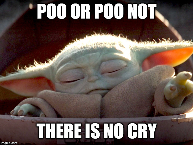 POO OR POO NOT; THERE IS NO CRY | image tagged in baby yoda | made w/ Imgflip meme maker