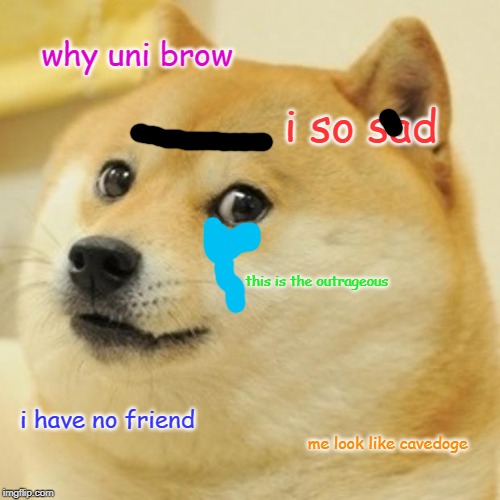 Doge Meme | why uni brow; i so sad; this is the outrageous; i have no friend; me look like cavedoge | image tagged in memes,doge | made w/ Imgflip meme maker