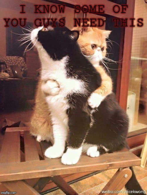 cats hugging | I KNOW SOME OF YOU GUYS NEED THIS | image tagged in cats hugging | made w/ Imgflip meme maker