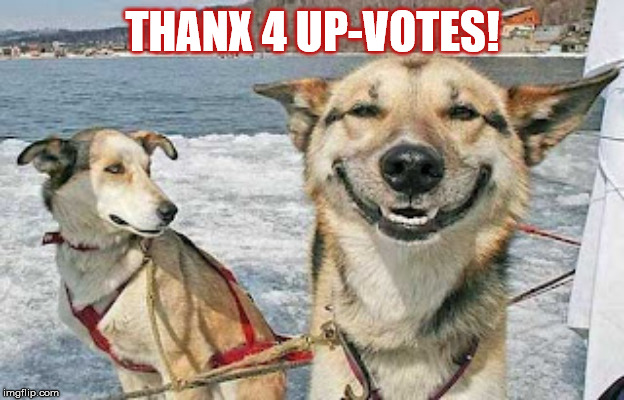 Original Stoner Dog Meme | THANX 4 UP-VOTES! | image tagged in memes,original stoner dog | made w/ Imgflip meme maker