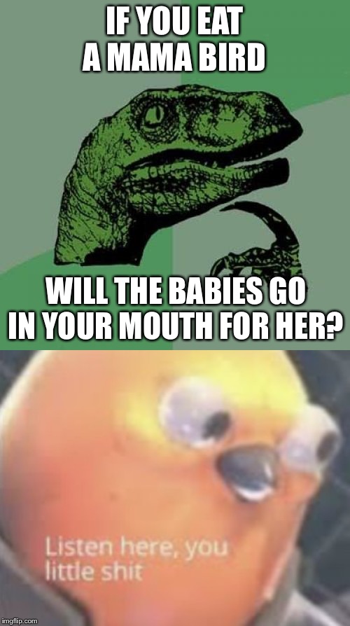 IF YOU EAT A MAMA BIRD; WILL THE BABIES GO IN YOUR MOUTH FOR HER? | image tagged in memes,philosoraptor | made w/ Imgflip meme maker