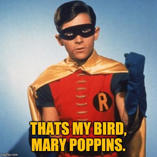 Robin | THATS MY BIRD, MARY POPPINS. | image tagged in robin | made w/ Imgflip meme maker