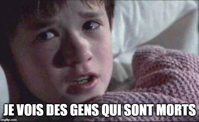 I See Dead People Meme | JE VOIS DES GENS QUI SONT MORTS | image tagged in memes,i see dead people | made w/ Imgflip meme maker