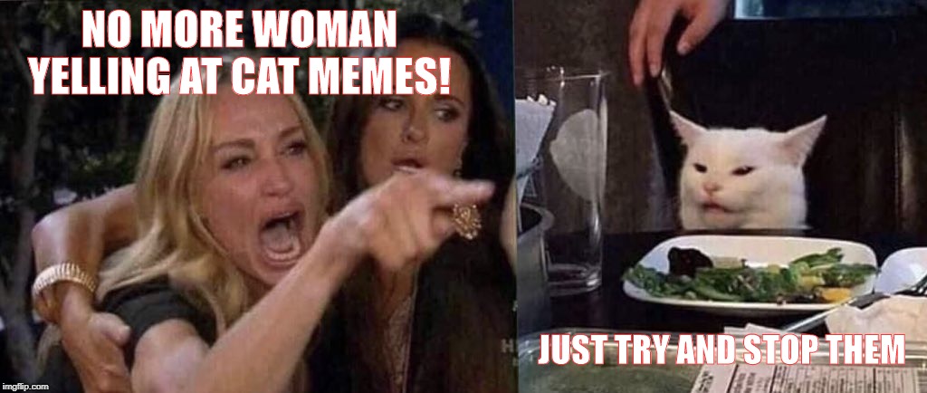 woman yelling at cat | NO MORE WOMAN YELLING AT CAT MEMES! JUST TRY AND STOP THEM | image tagged in woman yelling at cat | made w/ Imgflip meme maker
