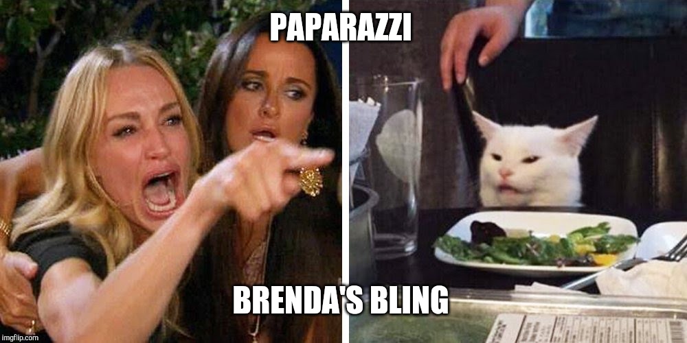 Smudge the cat | PAPARAZZI; BRENDA'S BLING | image tagged in smudge the cat | made w/ Imgflip meme maker