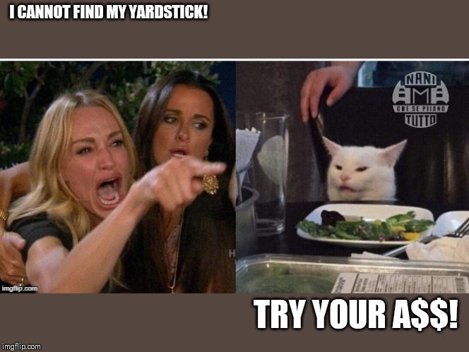 white cat table | I CANNOT FIND MY YARDSTICK! TRY YOUR A$$! | image tagged in white cat table | made w/ Imgflip meme maker