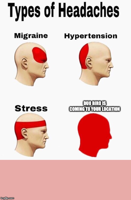 Headaches | DUO BIRD IS COMING TO YOUR LOCATION | image tagged in headaches | made w/ Imgflip meme maker