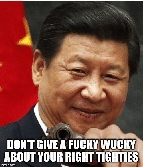 Xi Jinping | DON'T GIVE A F**KY WUCKY ABOUT YOUR RIGHT TIGHTIES | image tagged in xi jinping | made w/ Imgflip meme maker