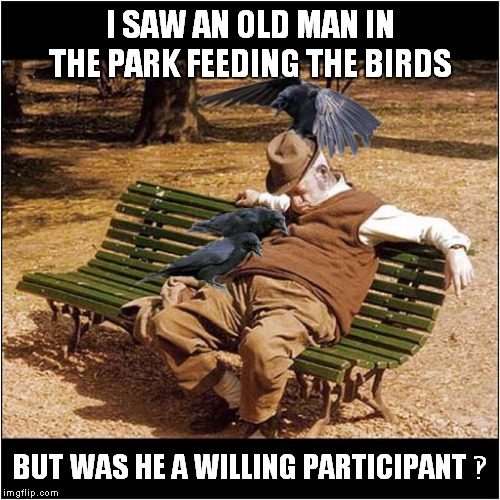 Feeding The Birds ‽ | I SAW AN OLD MAN IN THE PARK FEEDING THE BIRDS; BUT WAS HE A WILLING PARTICIPANT ‽ | image tagged in fun,crows,birds | made w/ Imgflip meme maker