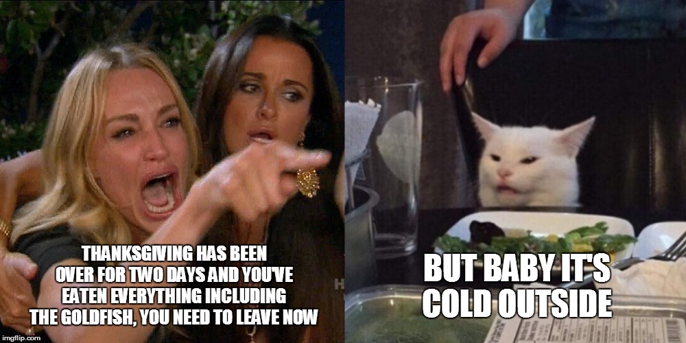 Woman yelling at cat | BUT BABY IT'S COLD OUTSIDE; THANKSGIVING HAS BEEN OVER FOR TWO DAYS AND YOU'VE EATEN EVERYTHING INCLUDING THE GOLDFISH, YOU NEED TO LEAVE NOW | image tagged in woman yelling at cat | made w/ Imgflip meme maker