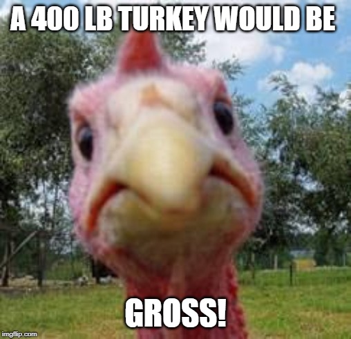 turkey | A 400 LB TURKEY WOULD BE GROSS! | image tagged in turkey | made w/ Imgflip meme maker