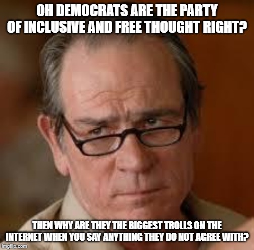 my face when someone asks a stupid question | OH DEMOCRATS ARE THE PARTY OF INCLUSIVE AND FREE THOUGHT RIGHT? THEN WHY ARE THEY THE BIGGEST TROLLS ON THE INTERNET WHEN YOU SAY ANYTHING THEY DO NOT AGREE WITH? | image tagged in my face when someone asks a stupid question | made w/ Imgflip meme maker