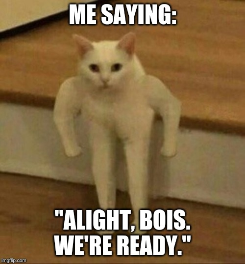 Yup. Let's head out. | ME SAYING:; "ALIGHT, BOIS. WE'RE READY." | image tagged in cats | made w/ Imgflip meme maker