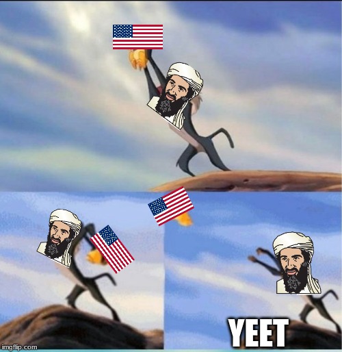 lion being yeeted | YEET | image tagged in lion being yeeted | made w/ Imgflip meme maker