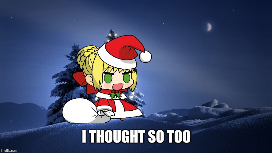 Christmas Tree | I THOUGHT SO TOO | image tagged in christmas tree | made w/ Imgflip meme maker