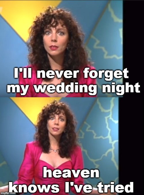 rita rudner is such a class act. foster brooks won't mind. | I'll never forget  my wedding night; heaven knows I've tried | image tagged in comedian,female logic,old jokes,meme point | made w/ Imgflip meme maker