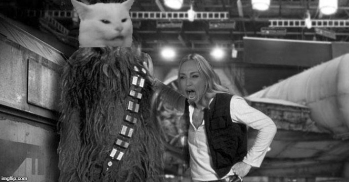 image tagged in star wars,woman yelling at cat,memes,meme | made w/ Imgflip meme maker