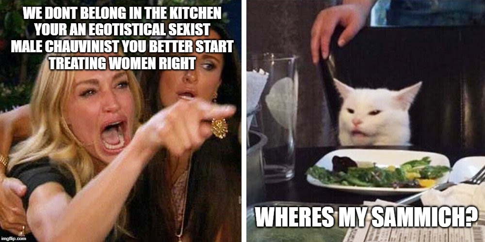 Smudge the cat | WE DONT BELONG IN THE KITCHEN
YOUR AN EGOTISTICAL SEXIST
MALE CHAUVINIST YOU BETTER START
TREATING WOMEN RIGHT; WHERES MY SAMMICH? | image tagged in smudge the cat | made w/ Imgflip meme maker