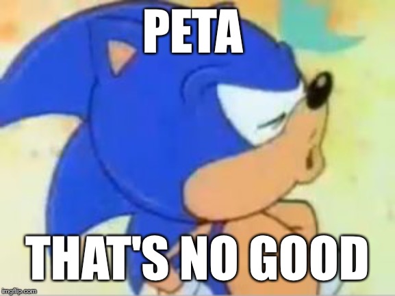 sonic that's no good | PETA; THAT'S NO GOOD | image tagged in sonic that's no good | made w/ Imgflip meme maker