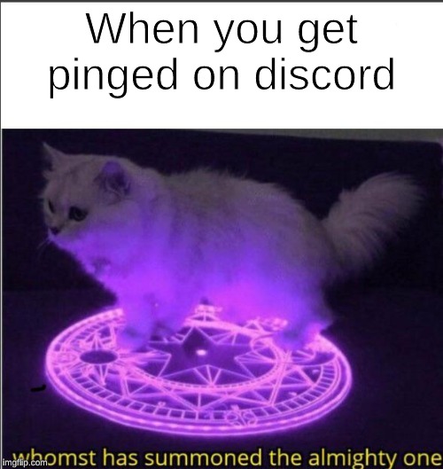 Who has summoned the almighty one | When you get pinged on discord | image tagged in who has summoned the almighty one | made w/ Imgflip meme maker