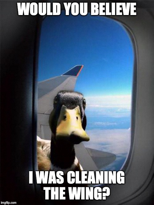 Airplane Duck |  WOULD YOU BELIEVE; I WAS CLEANING THE WING? | image tagged in airplane duck | made w/ Imgflip meme maker