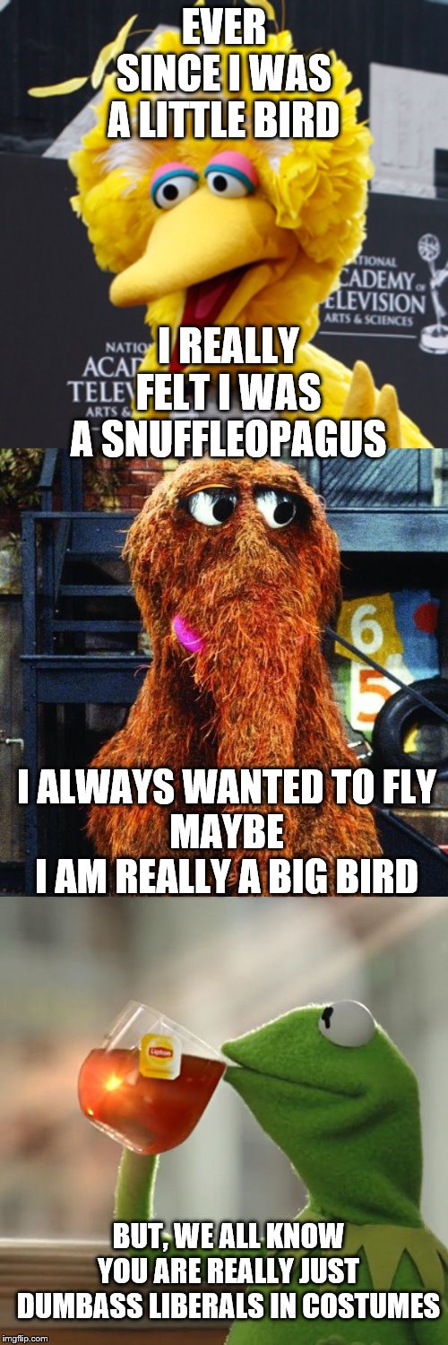 Story Time | EVER SINCE I WAS A LITTLE BIRD; I REALLY FELT I WAS A SNUFFLEOPAGUS; I ALWAYS WANTED TO FLY
MAYBE
I AM REALLY A BIG BIRD; BUT, WE ALL KNOW YOU ARE REALLY JUST DUMBASS LIBERALS IN COSTUMES | image tagged in memes,big bird,but thats none of my business,snuffleupagus,politics | made w/ Imgflip meme maker