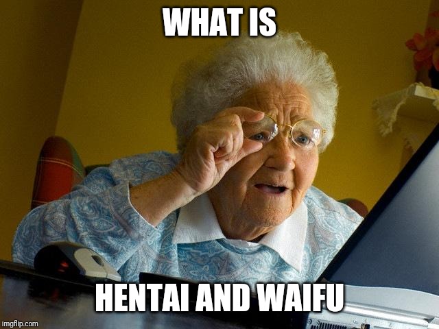 Grandma Finds The Internet Meme | WHAT IS; HENTAI AND WAIFU | image tagged in memes,grandma finds the internet | made w/ Imgflip meme maker