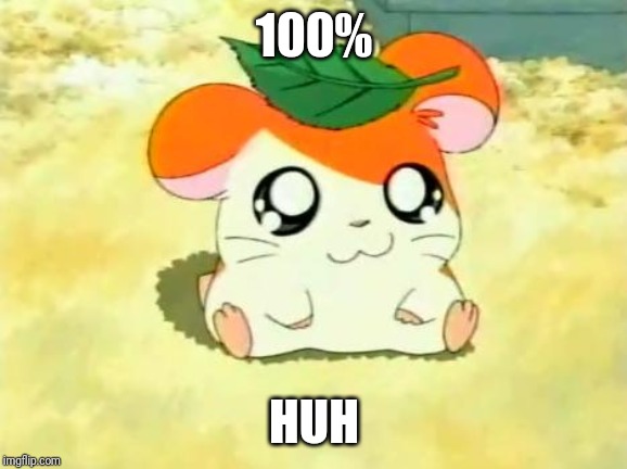 Hamtaro Meme | 100% HUH | image tagged in memes,hamtaro | made w/ Imgflip meme maker
