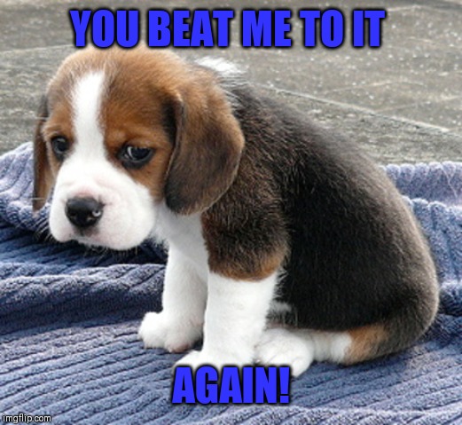 sad dog | YOU BEAT ME TO IT AGAIN! | image tagged in sad dog | made w/ Imgflip meme maker