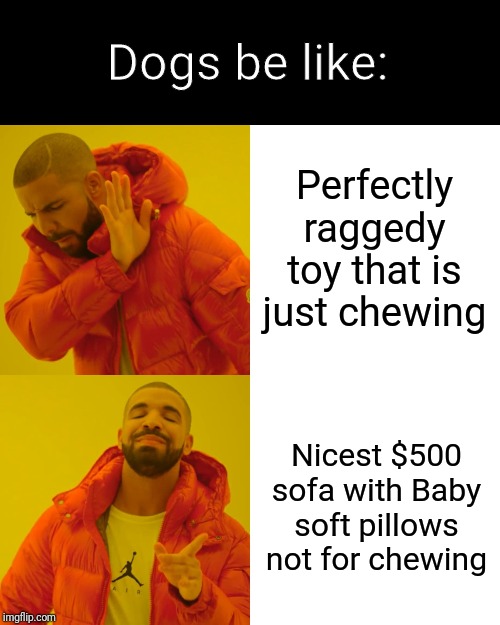 Drake Hotline Bling Meme | Dogs be like:; Perfectly raggedy toy that is just chewing; Nicest $500 sofa with Baby soft pillows not for chewing | image tagged in memes,drake hotline bling | made w/ Imgflip meme maker