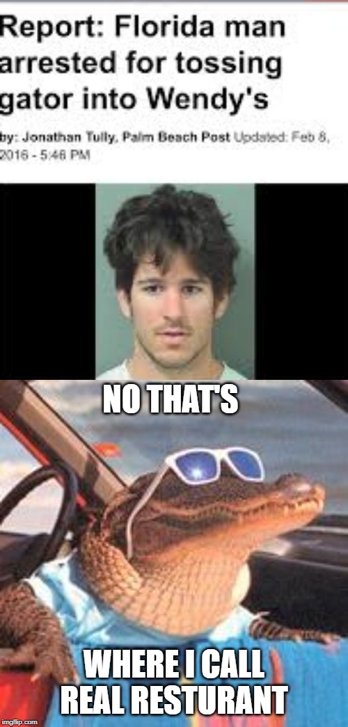 news report | NO THAT'S; WHERE I CALL REAL RESTURANT | image tagged in cool gator,funny,memes,florida,wendy's | made w/ Imgflip meme maker