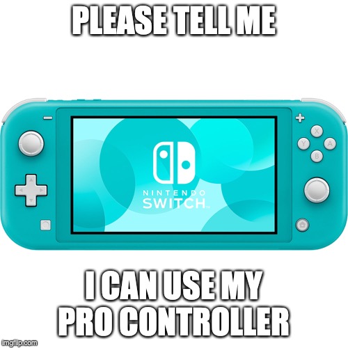 Nintendo BLANK | PLEASE TELL ME; I CAN USE MY PRO CONTROLLER | image tagged in nintendo blank | made w/ Imgflip meme maker