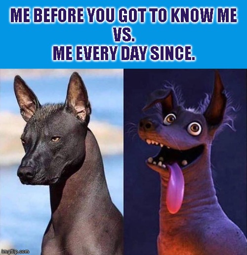 Before and After | ME BEFORE YOU GOT TO KNOW ME
VS.
ME EVERY DAY SINCE. | image tagged in funny,personality | made w/ Imgflip meme maker
