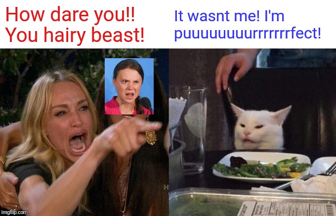 Woman Yelling At Cat Meme | How dare you!! You hairy beast! It wasnt me! I'm puuuuuuuurrrrrrrfect! | image tagged in memes,woman yelling at cat,greta | made w/ Imgflip meme maker