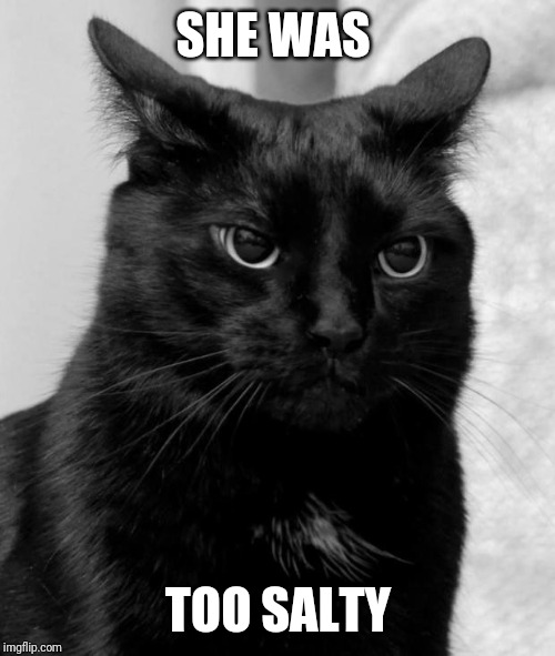Black cat pissed | SHE WAS TOO SALTY | image tagged in black cat pissed | made w/ Imgflip meme maker