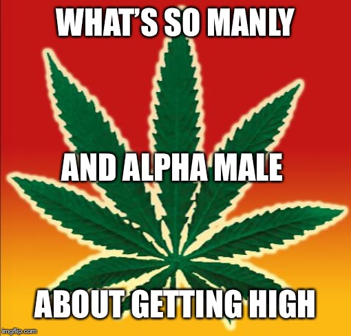 Weed | WHAT’S SO MANLY; AND ALPHA MALE; ABOUT GETTING HIGH | image tagged in weed | made w/ Imgflip meme maker