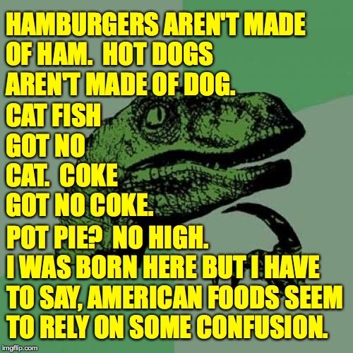 Philosoraptor Meme | HAMBURGERS AREN'T MADE
OF HAM.  HOT DOGS
AREN'T MADE OF DOG. CAT FISH GOT NO CAT.  COKE GOT NO COKE. POT PIE?  NO HIGH. I WAS BORN HERE BUT I HAVE
TO SAY, AMERICAN FOODS SEEM
TO RELY ON SOME CONFUSION. | image tagged in memes,philosoraptor | made w/ Imgflip meme maker