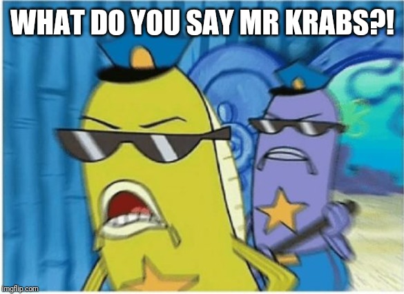 Spongebob Police | WHAT DO YOU SAY MR KRABS?! | image tagged in spongebob police | made w/ Imgflip meme maker