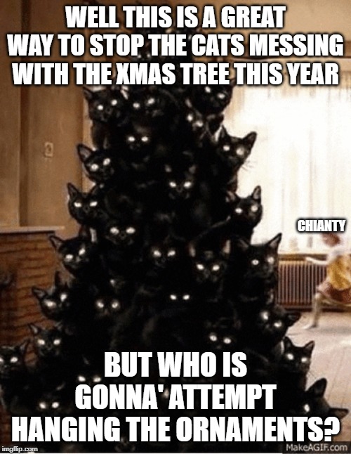 Xmas Cats | WELL THIS IS A GREAT WAY TO STOP THE CATS MESSING WITH THE XMAS TREE THIS YEAR; CHIANTY; BUT WHO IS GONNA' ATTEMPT HANGING THE ORNAMENTS? | image tagged in one does not simply | made w/ Imgflip meme maker