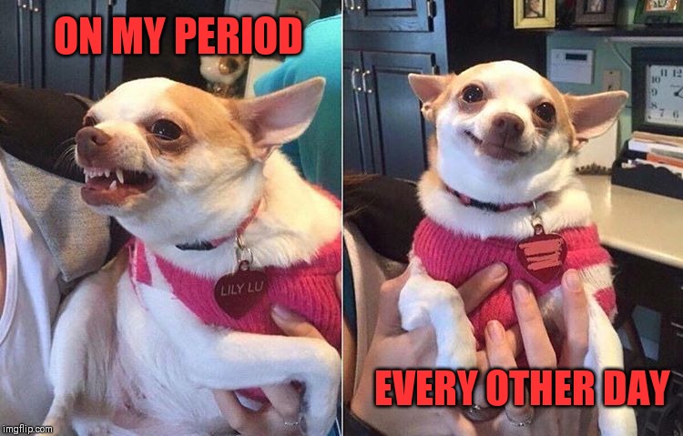 angry dog meme | ON MY PERIOD EVERY OTHER DAY | image tagged in angry dog meme | made w/ Imgflip meme maker