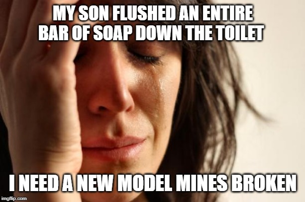 First World Problems | MY SON FLUSHED AN ENTIRE BAR OF SOAP DOWN THE TOILET; I NEED A NEW MODEL MINES BROKEN | image tagged in memes,first world problems | made w/ Imgflip meme maker