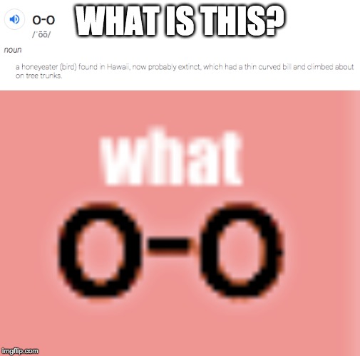 the 0-0 | WHAT IS THIS? | image tagged in funny | made w/ Imgflip meme maker