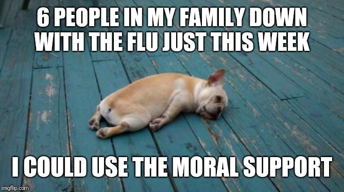 tired dog | 6 PEOPLE IN MY FAMILY DOWN WITH THE FLU JUST THIS WEEK I COULD USE THE MORAL SUPPORT | image tagged in tired dog | made w/ Imgflip meme maker