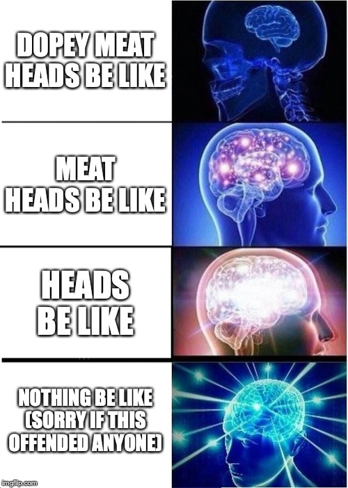 Expanding Brain | DOPEY MEAT HEADS BE LIKE; MEAT HEADS BE LIKE; HEADS BE LIKE; NOTHING BE LIKE
(SORRY IF THIS OFFENDED ANYONE) | image tagged in memes,expanding brain | made w/ Imgflip meme maker
