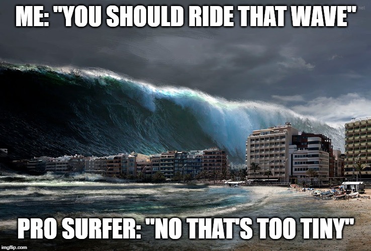 Tsunami Wave | ME: "YOU SHOULD RIDE THAT WAVE"; PRO SURFER: "NO THAT'S TOO TINY" | image tagged in tsunami wave | made w/ Imgflip meme maker