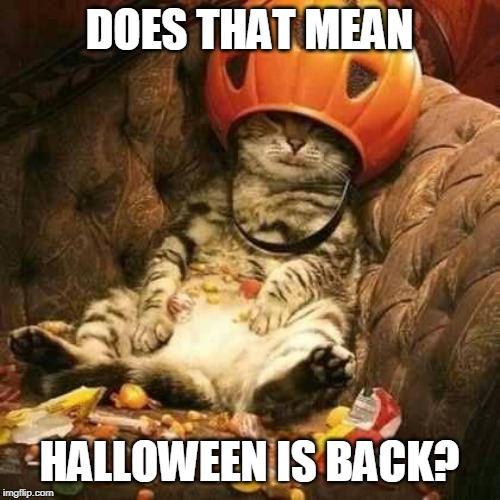 trick or treat cat | DOES THAT MEAN HALLOWEEN IS BACK? | image tagged in trick or treat cat | made w/ Imgflip meme maker