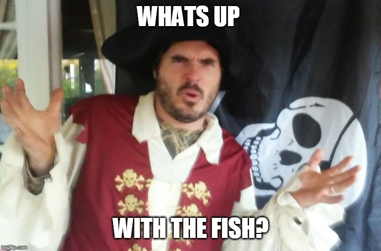WTF PIRATE | WHATS UP WITH THE FISH? | image tagged in wtf pirate | made w/ Imgflip meme maker