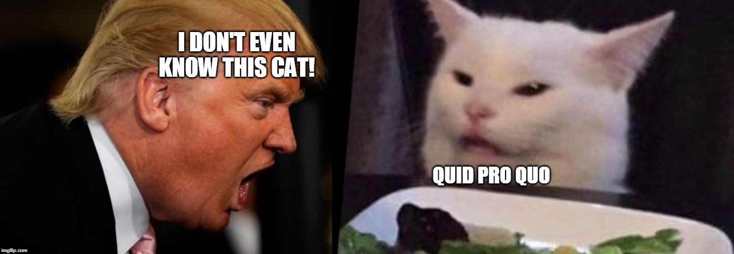 I DON'T EVEN KNOW THIS CAT! QUID PRO QUO | image tagged in smudge the cat,donald trump,FreeKarma4U | made w/ Imgflip meme maker