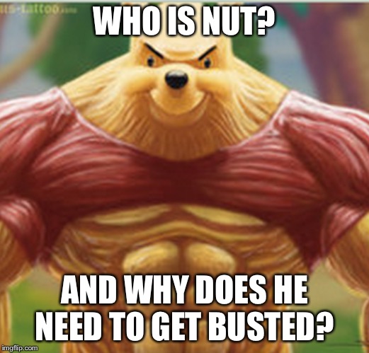 Pooh | WHO IS NUT? AND WHY DOES HE NEED TO GET BUSTED? | image tagged in pooh | made w/ Imgflip meme maker